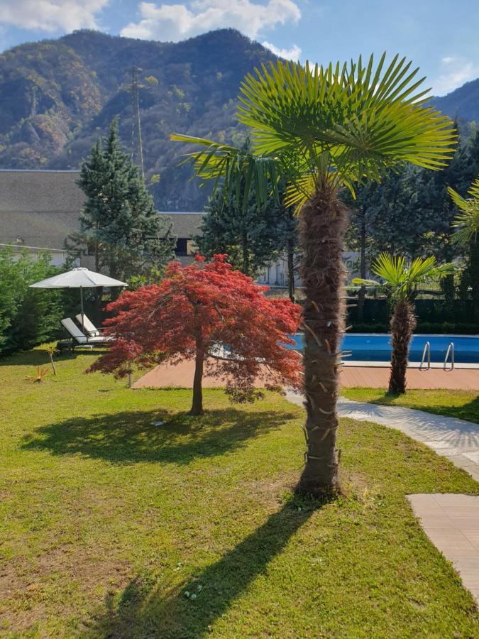 Villa Mariel Lago Maggiore Gravellona Toce Zewnętrze zdjęcie